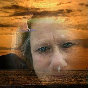 Meet your Posher, Robin